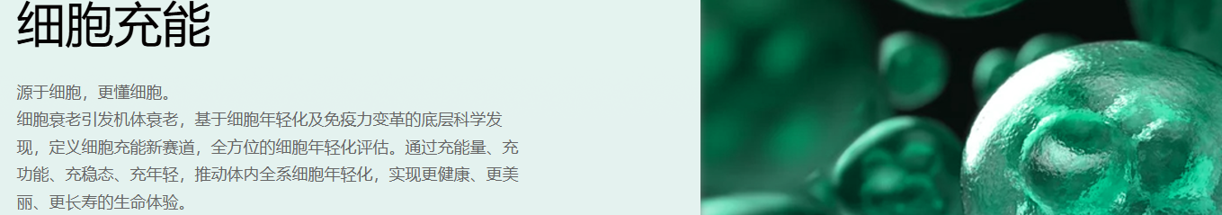 1733128192804769.png 6.png