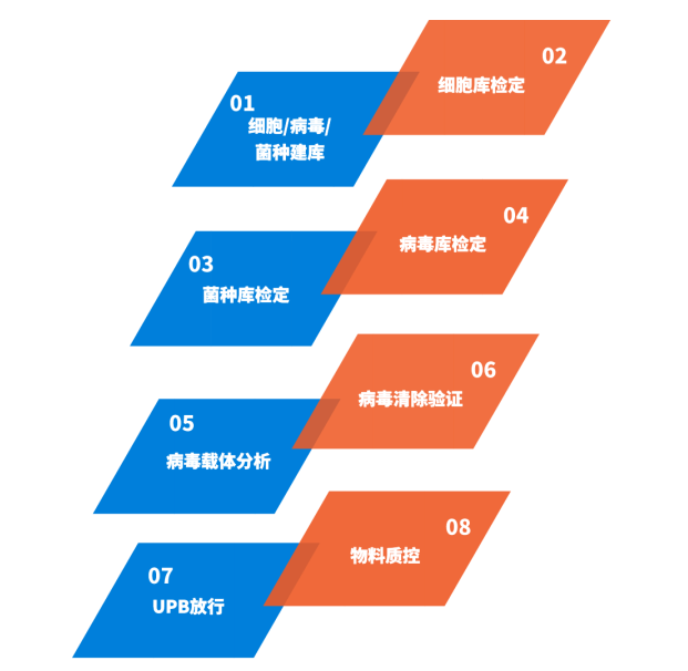 1733883313574944.png 蝴蝶寶貝.png