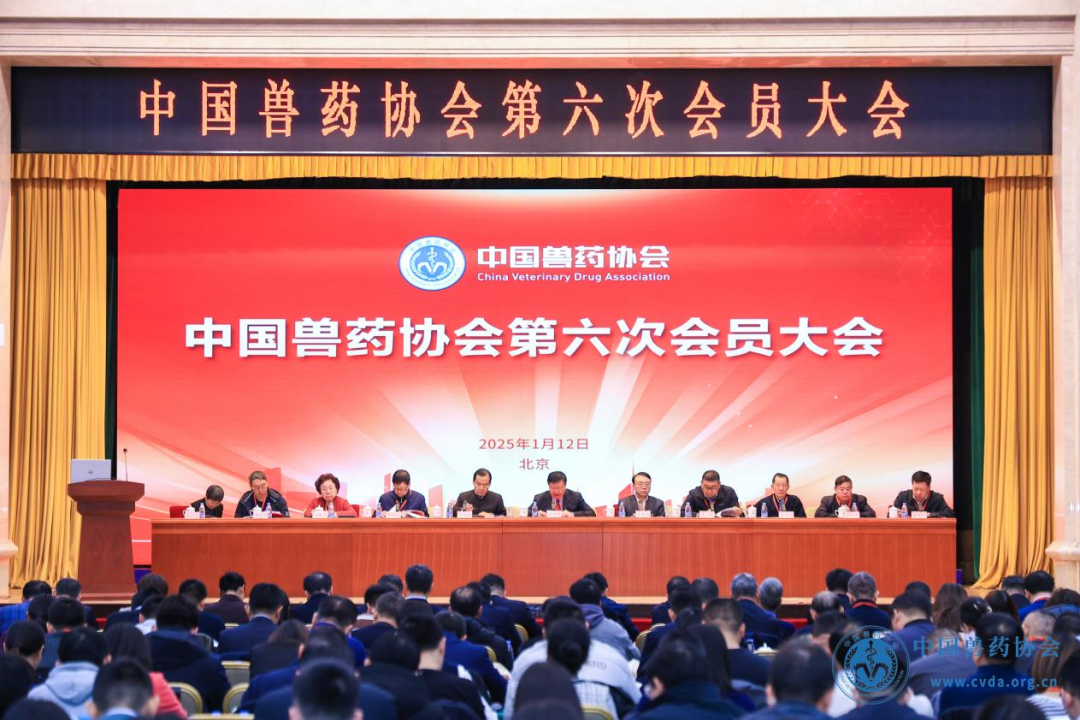 1737010764531334.png 1.png