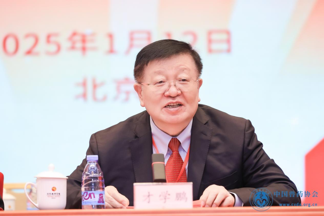 1737011028635498.png 5.png