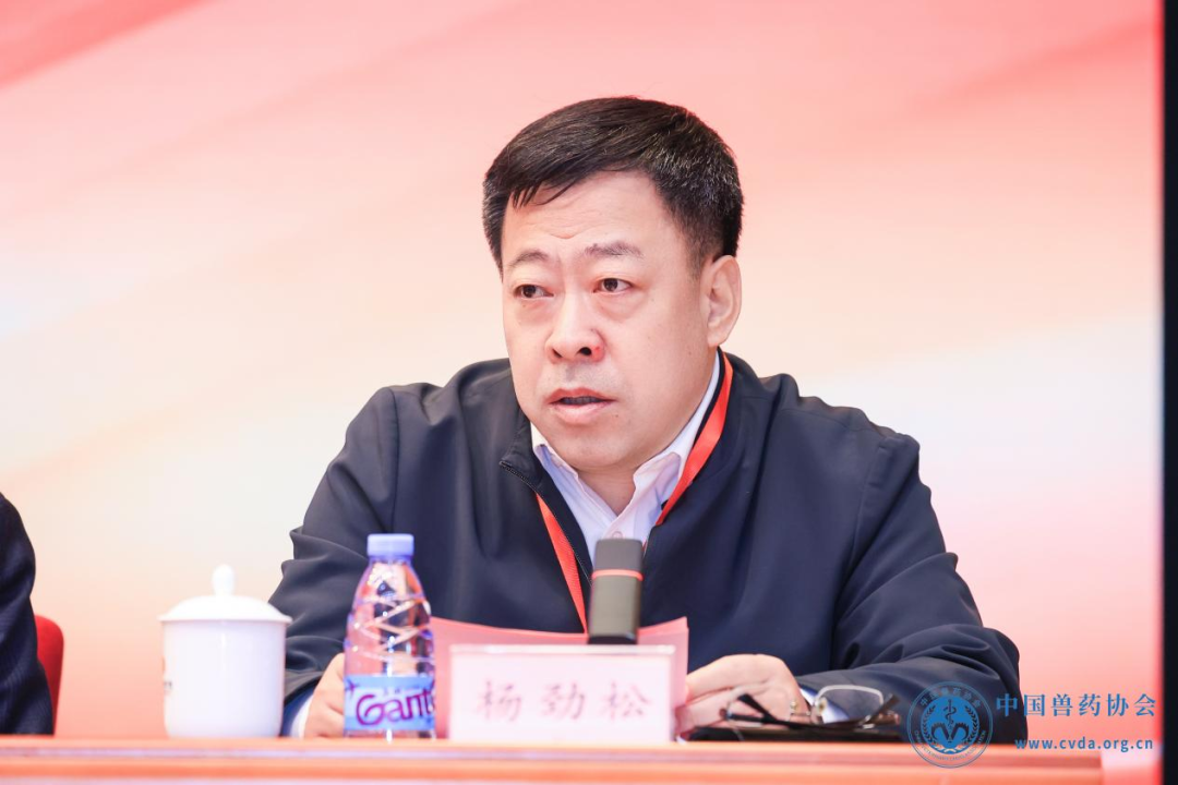 1737011036354161.png 6.png