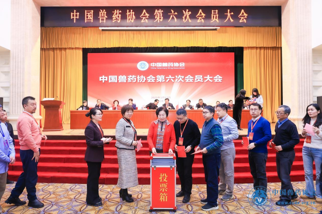 1737011065404306.png 9.png