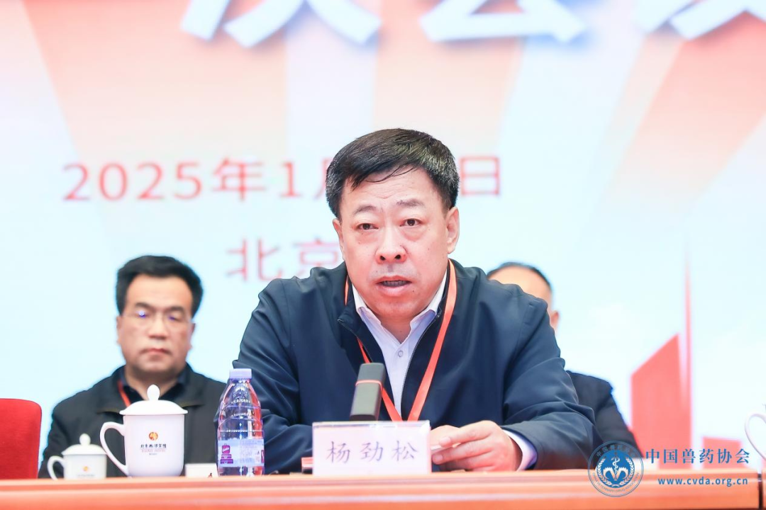 1737011076367975.png 10.png