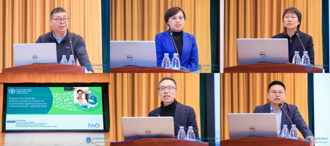 1737011102478240.png 13.png