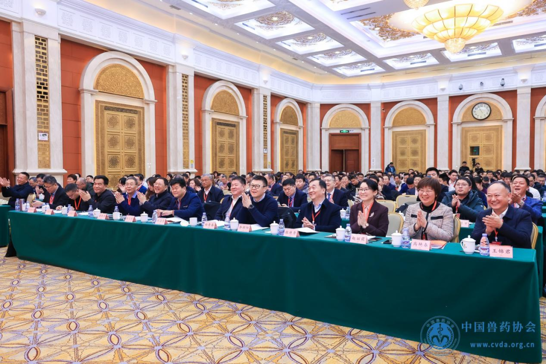 1737011120308616.png 15.png