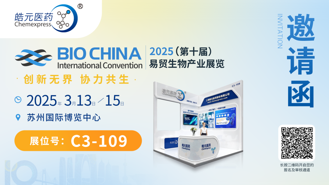 1740538849554214.png 10_71icWs8IozYVZ0HtTZVHEN2NL5TtAQ.png