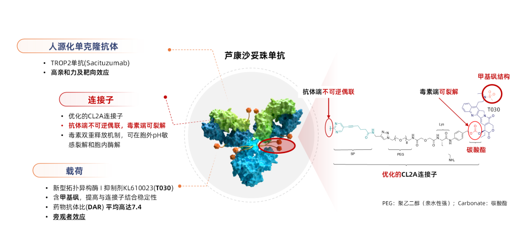 1741937729623164.png 2.png