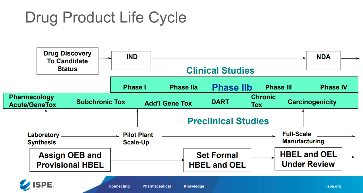 1742462653304303.png 01.png