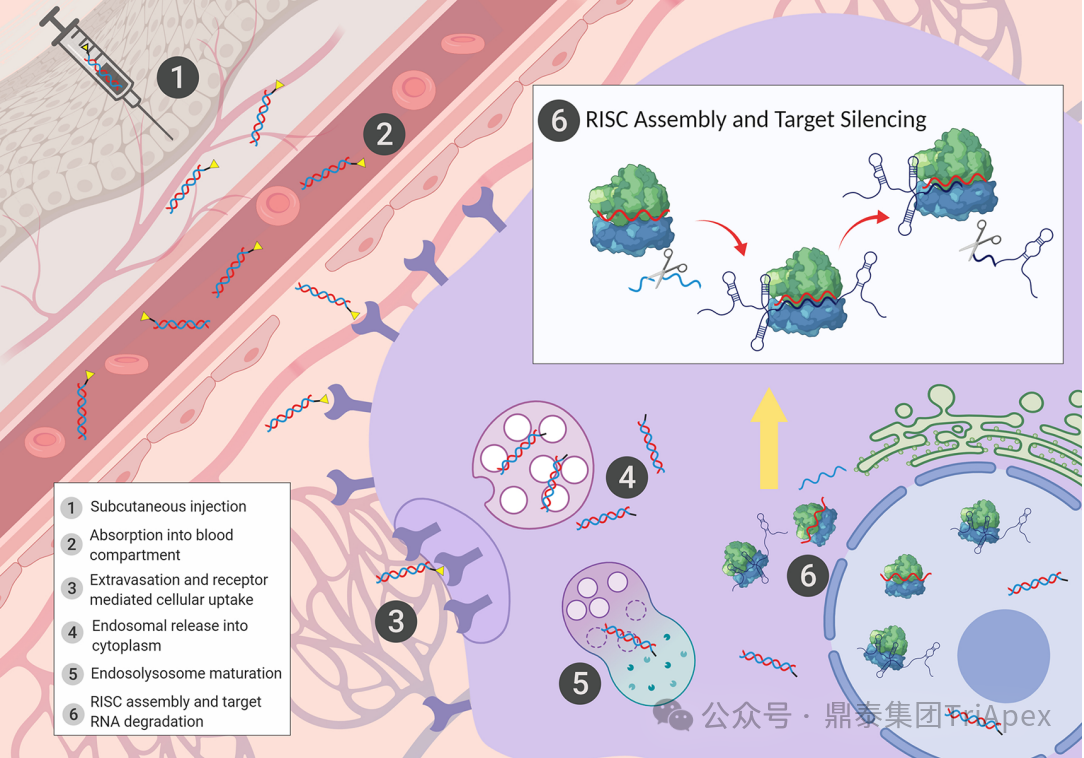 1745910387903303.png 555.png