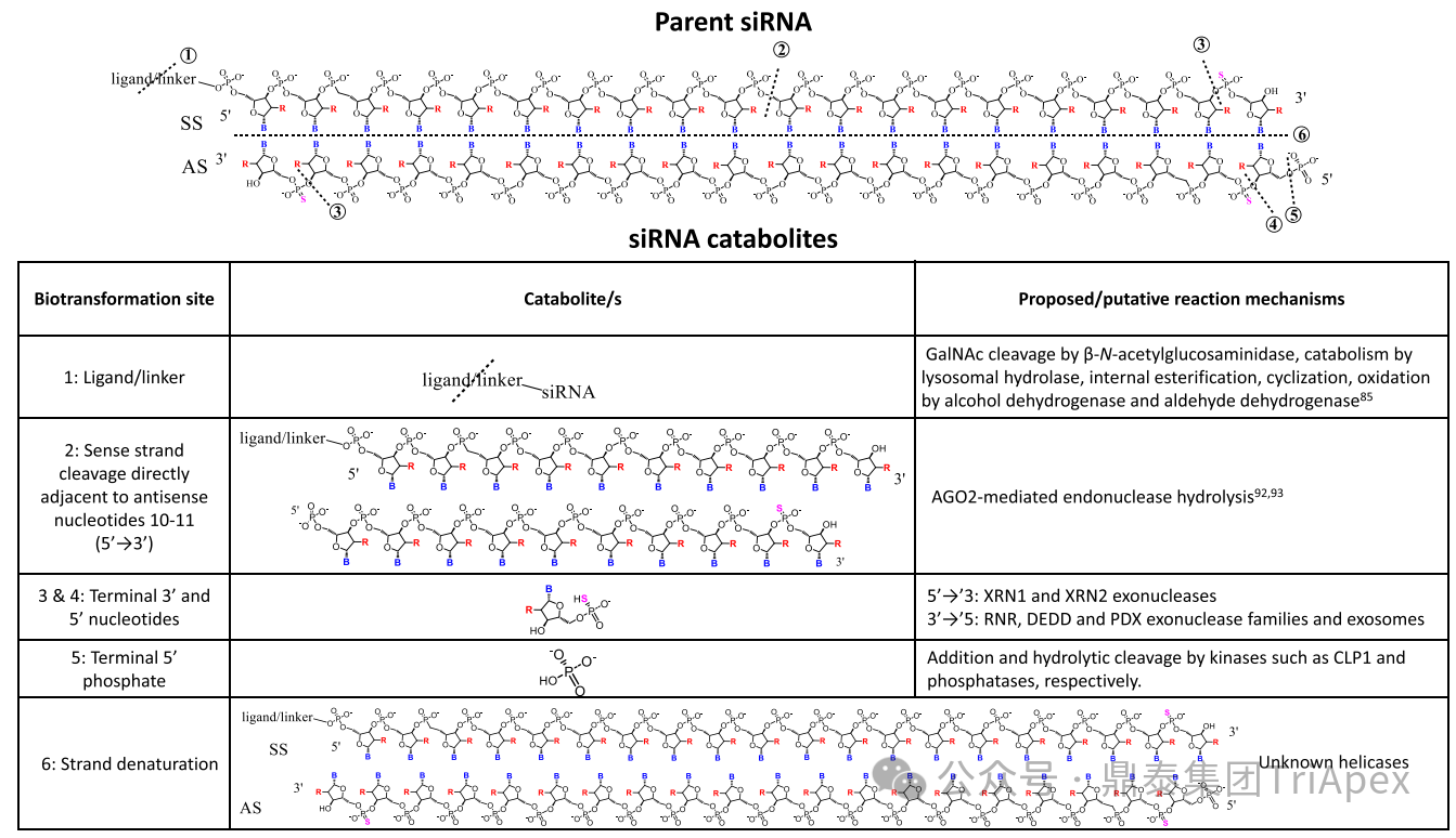 1745910480798344.png 561.png