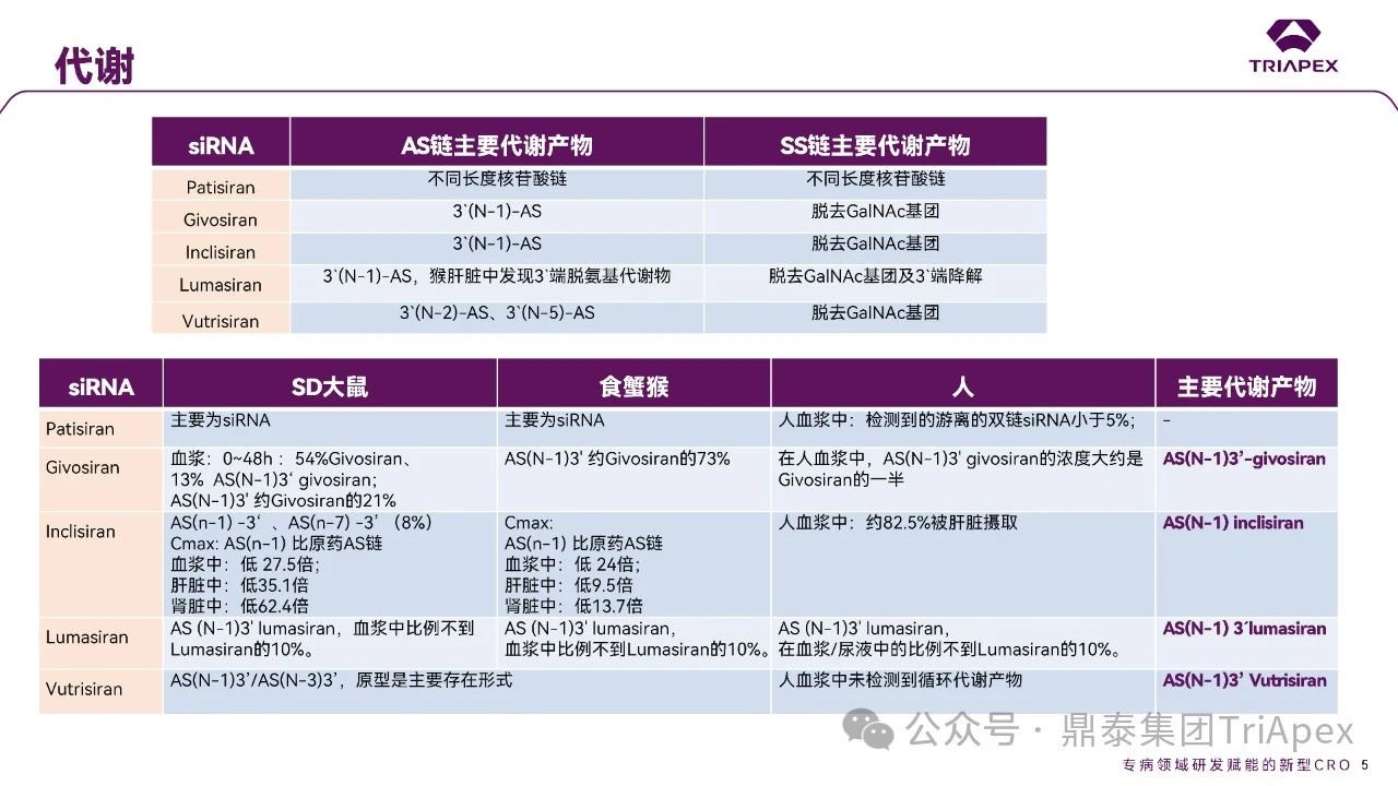 1745910491458477.jpg 562.jpg