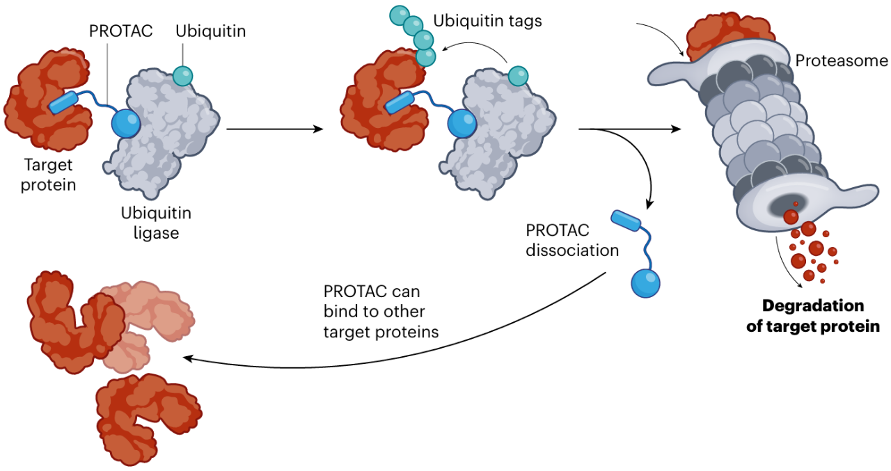 1749635041984691.png 555.png