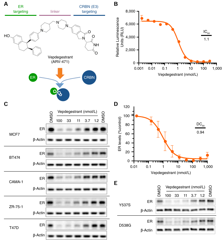 1749635050510574.png 556.png