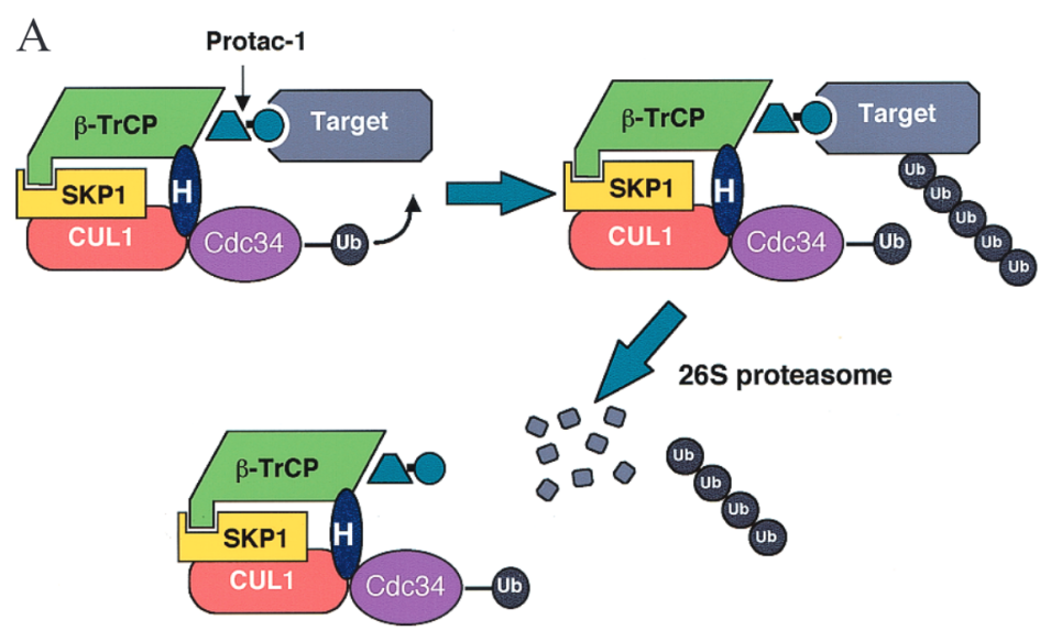 1749635076927818.png 559.png