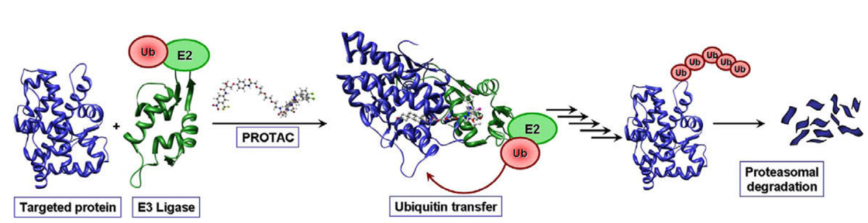 1749635084770286.png 560.png