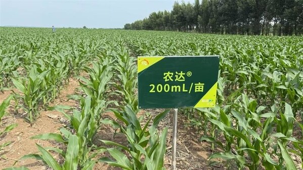 梨樹縣耘遠(yuǎn)農(nóng)場(chǎng)中的農(nóng)達(dá)&reg;田間試驗(yàn)