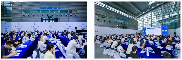 1754019431787080.png 5.png