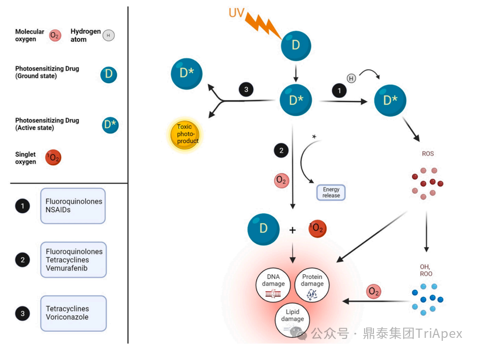 1754620855874674.png 666.png