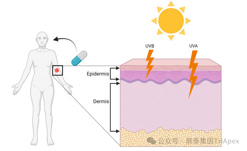 1754620884517642.png 669.png