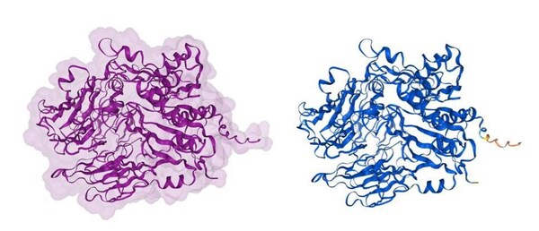 結(jié)構(gòu)配色方案：按子單位（左圖）；結(jié)構(gòu)配色方案：模型置信度（右圖）