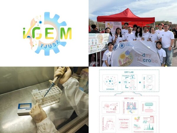 擎科生物助力iGEM團(tuán)隊(duì)-TJUSX 打造安全、可控、可復(fù)用的活體藥物平臺(tái)