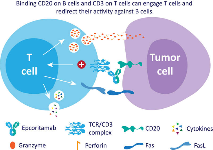 1762305568718312.png 556.png