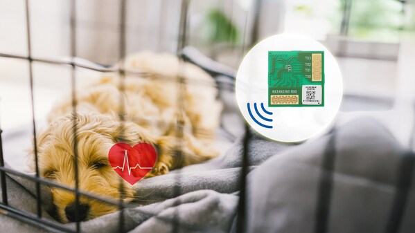 面向?qū)櫸镝t(yī)院的生命體征監(jiān)測概念方案