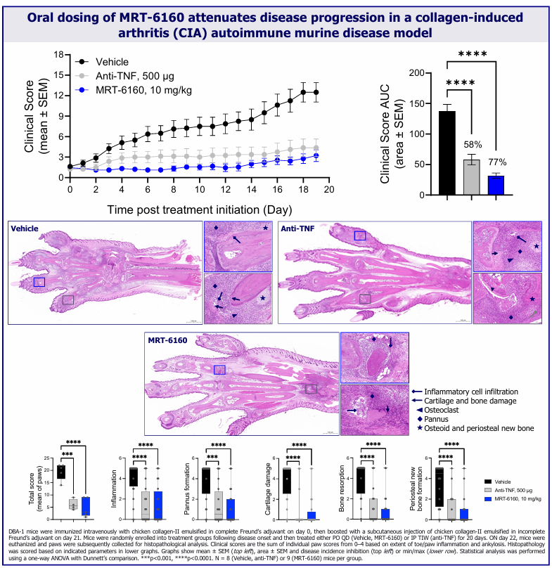 1763001295720230.png 560.png