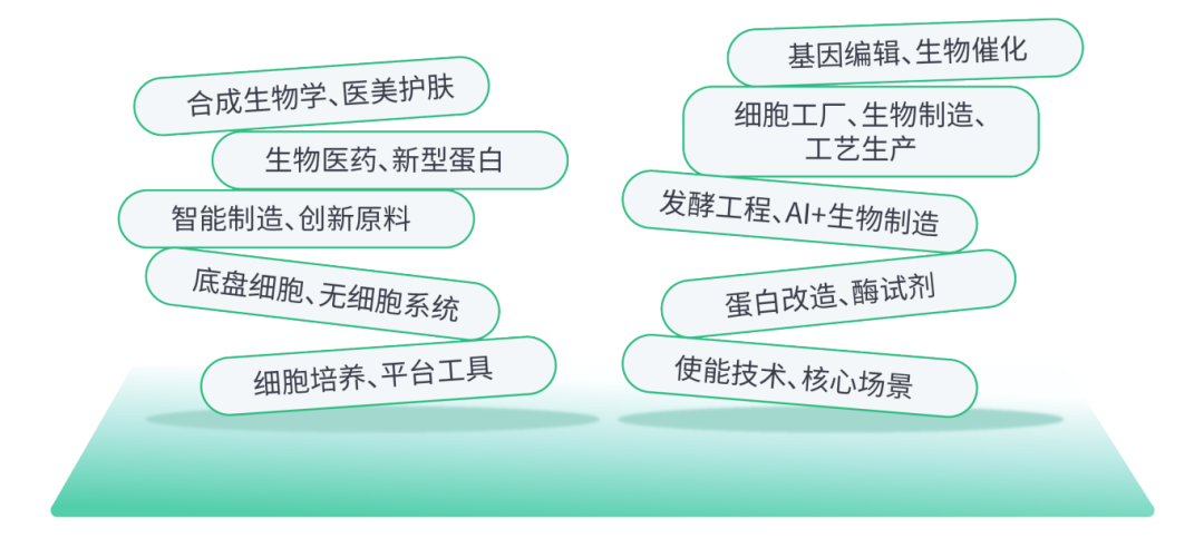 1763606598654665.png 10.png