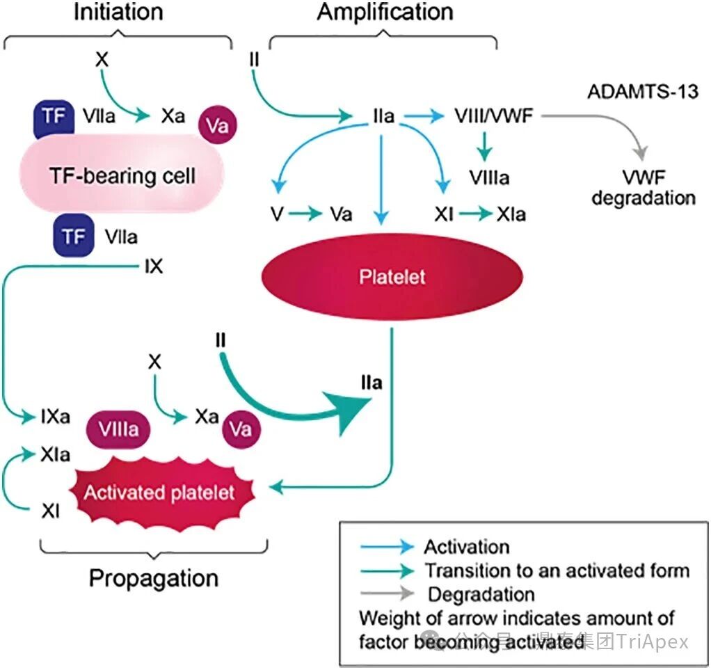 1764223963732423.jpg 778.jpg
