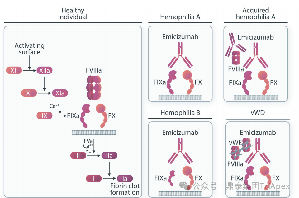 1764223973999285.png 779.png