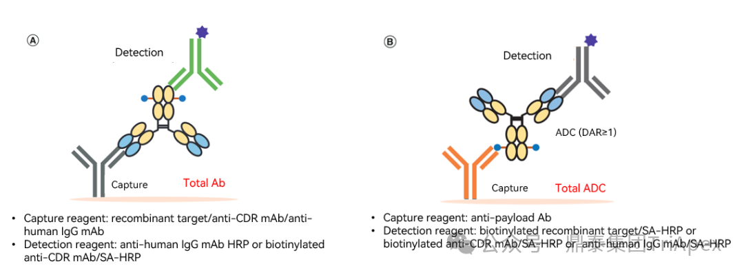 1764296698665647.png 559.png