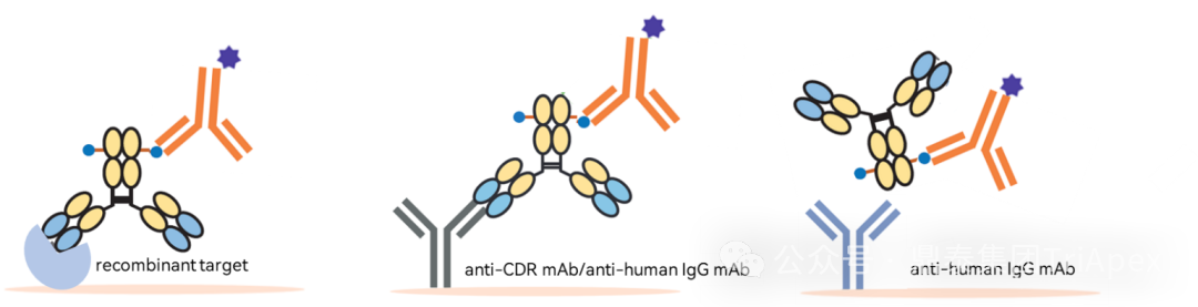 1764296707414909.png 560.png