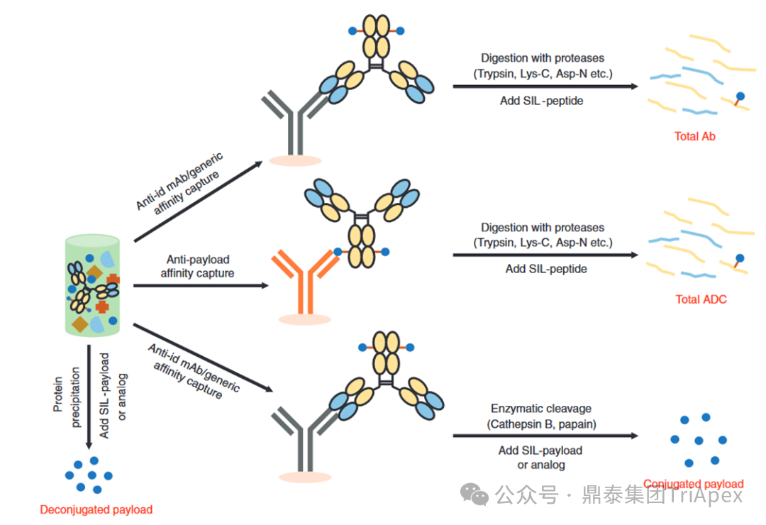 1764296718600866.png 561.png