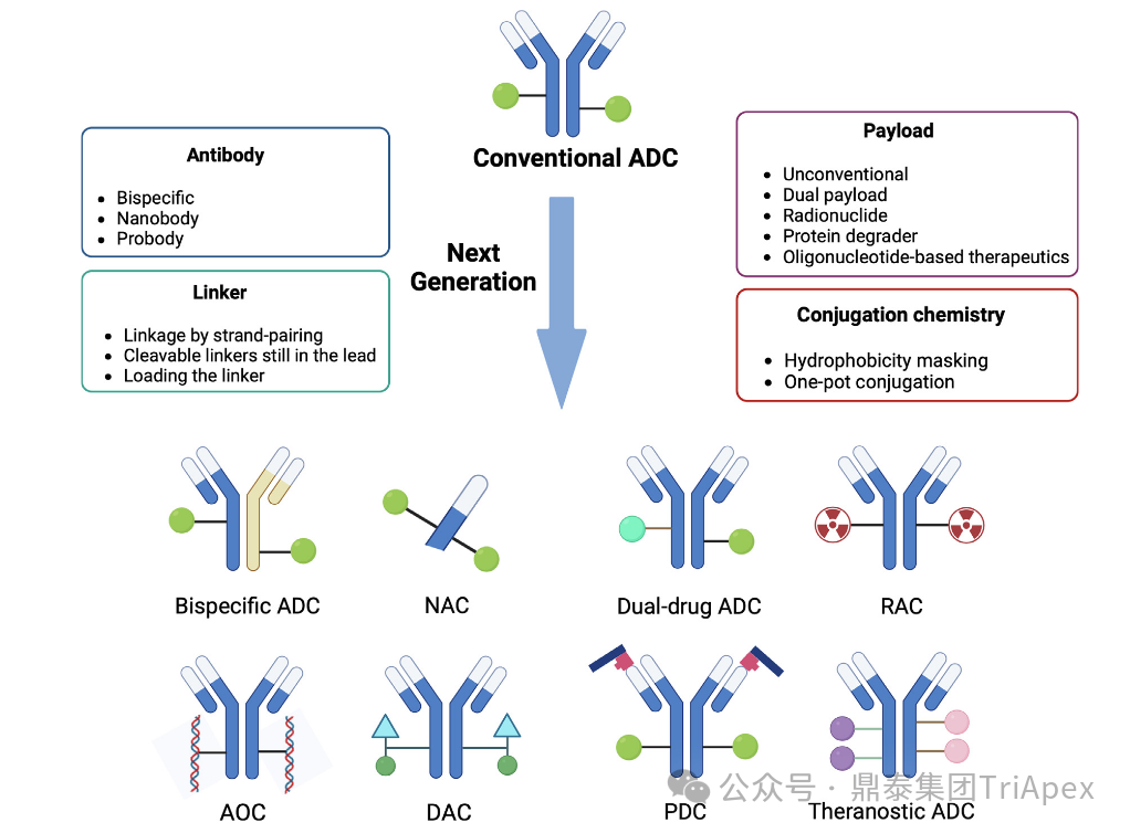 1764296763274559.png 566.png