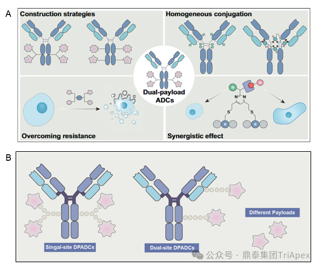 1764296781390449.png 568.png