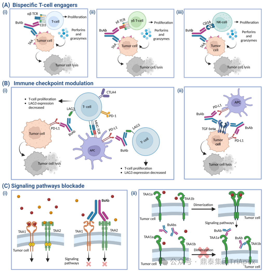 1764296811130535.png 571.png