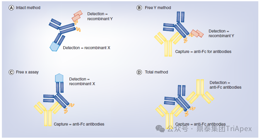 1764296832408618.png 573.png