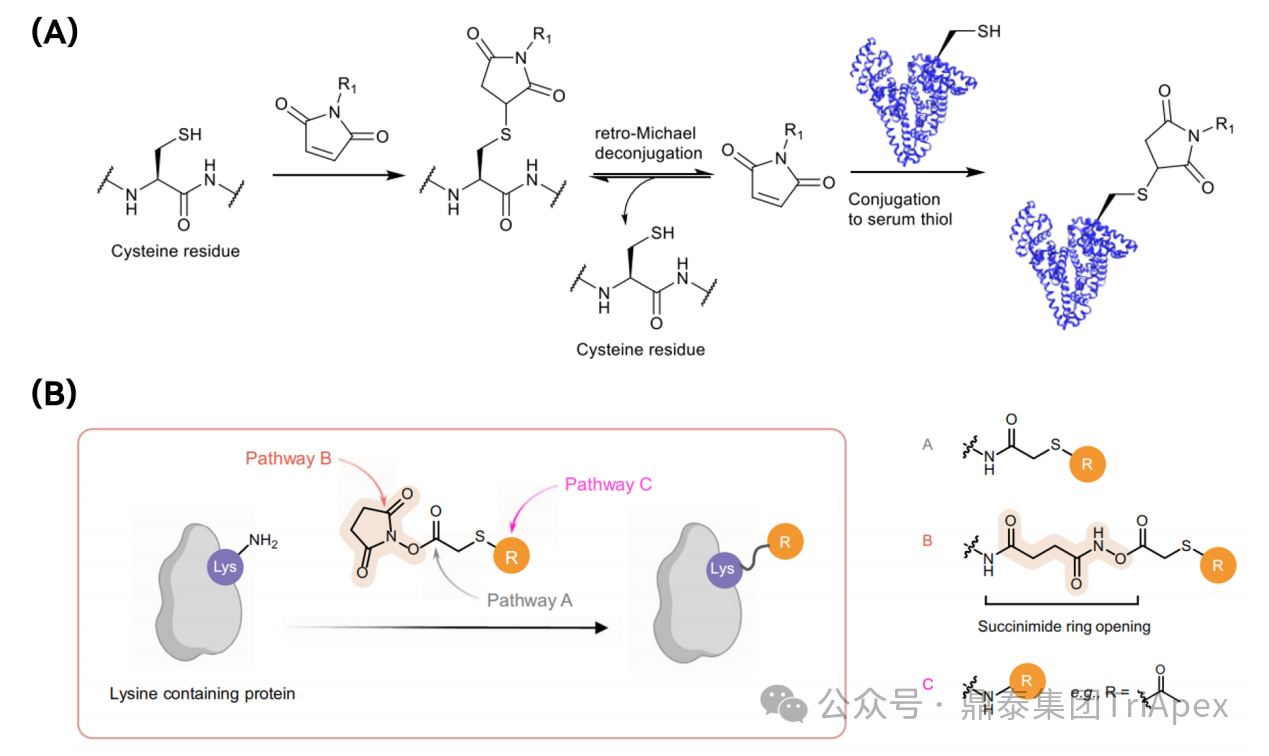 1764897327722055.png 558.png