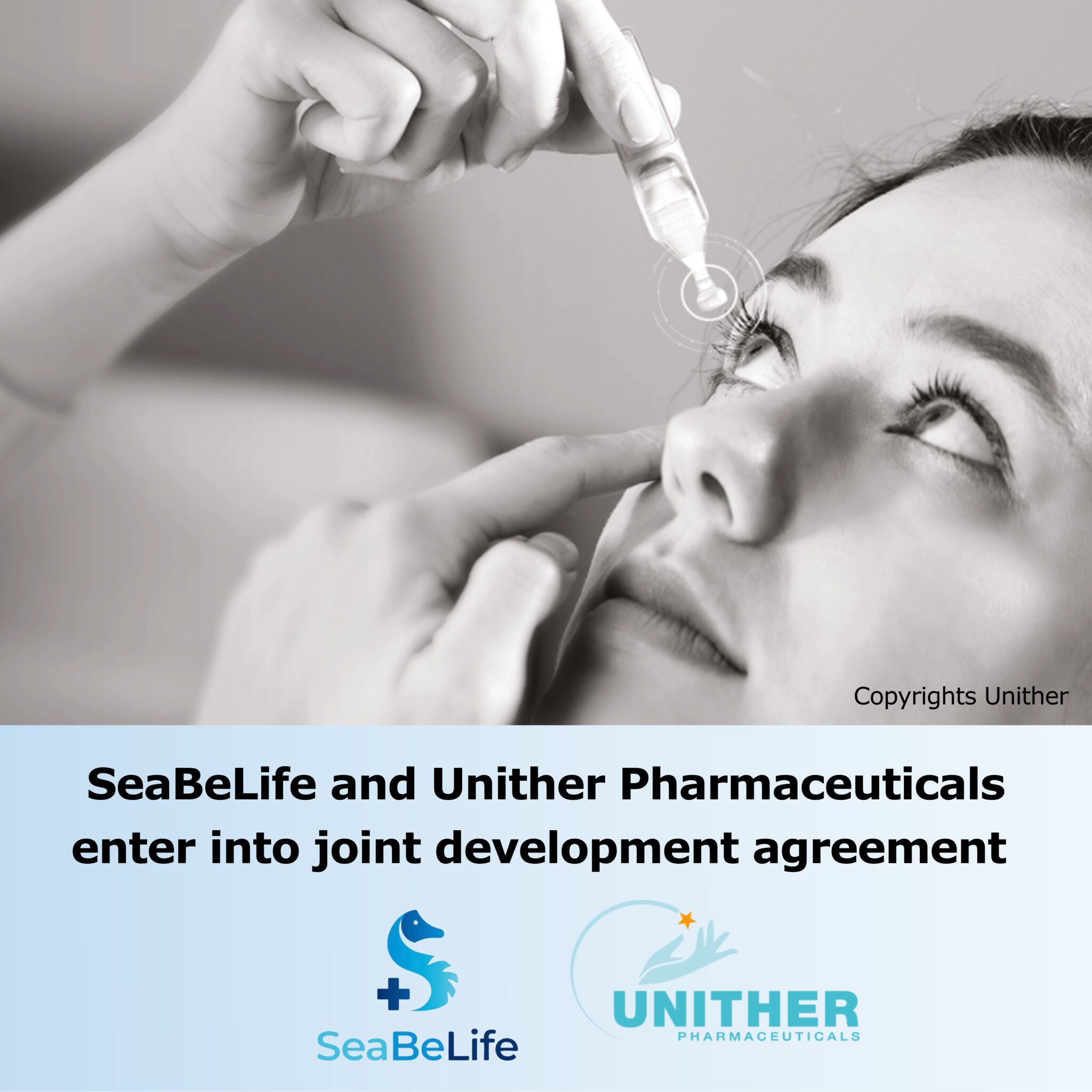 1765413862677037.jpg SeaBeLife-Unither-2-2048x2048 (1).jpg